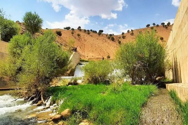 طبیعت سر سبز رفن به هنگام بهار