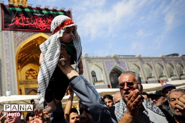 مشهدالرضا(ع) در ماتم کربلا؛ روایت اشک و ارادت در حرم مطهر رضوی