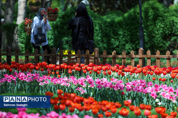 جشنواره لاله ها در کرج