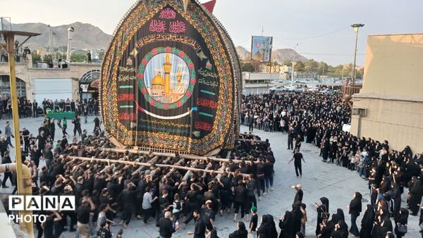 آیین دیرینه نخل برداری آخر ماه صفر در شهرستان تفت