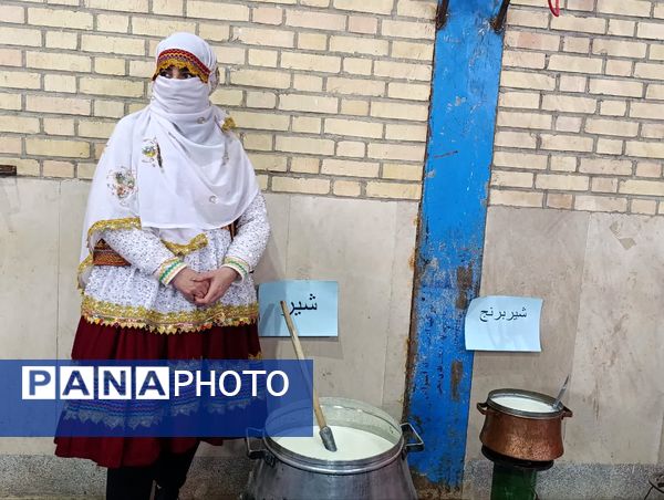  آغاز توزیع شیر رایگان در مدارس خراسان شمالی 