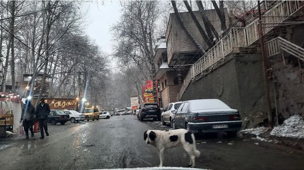 بارش نعمت‌های خداوند در آسمان مشهد