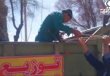 توزیع نهال  در پارک ملت شهرضا به مناسبت روز درختکاری