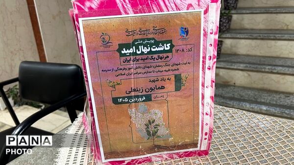 نهال‌ها در دبستان چلیچه به یاد شهدای مدرسه میناب می‌رویند