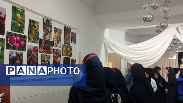 برگزاری افتتاحیه نمایشگاه مشاغل در هنرستان نور،ملارد 