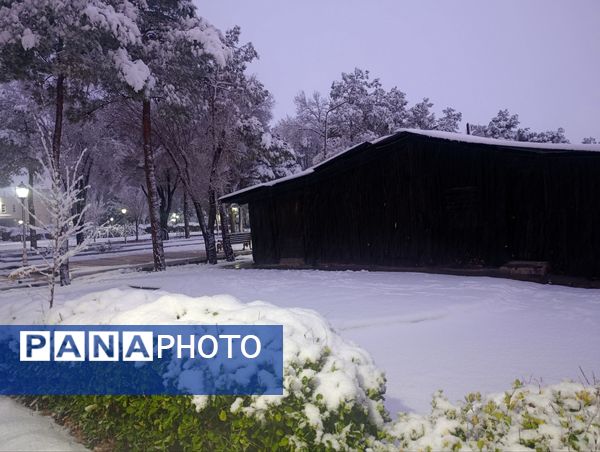 سفید مثل برف