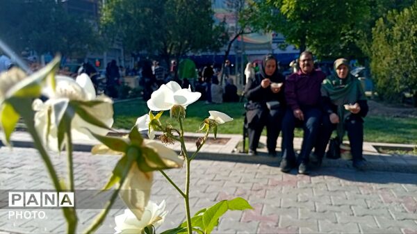 حماسه حضور؛ وقتی ملایر «غدیری» شد