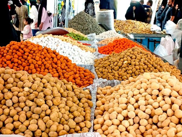 برپایی نمایشگاه بهاره در کاشمر