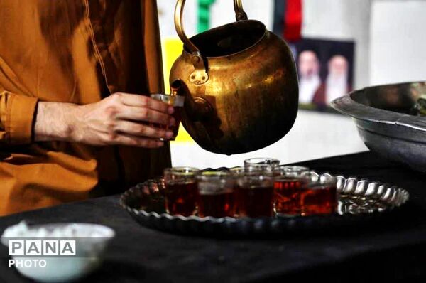 پژواک همبستگی در حریم دانش