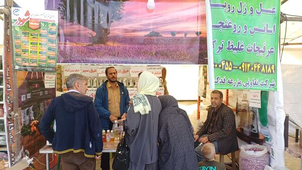 جشواره بومی محلی عناب شهرستان کوهپایه 