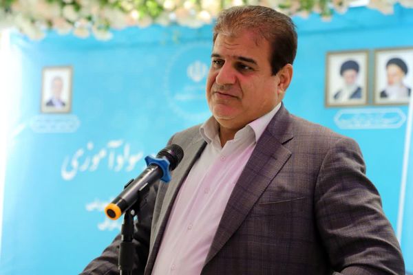 مدرسه محوری، الگوی نوین در سوادآموزی