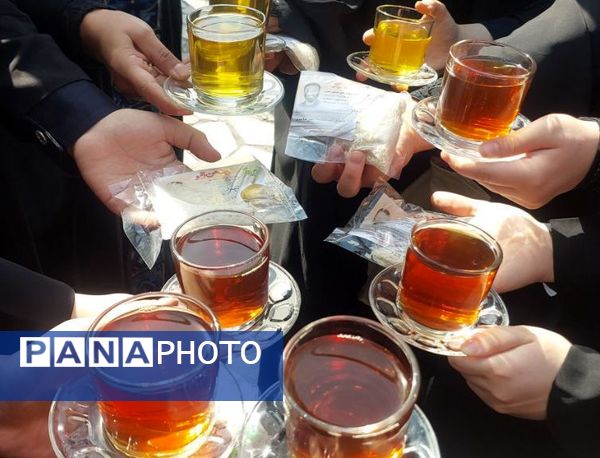 زیارت ضامن آهو 