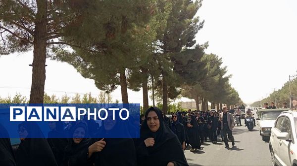 مراسم تشییع نمادین پیکر امام رضا (ع) در کاشمر