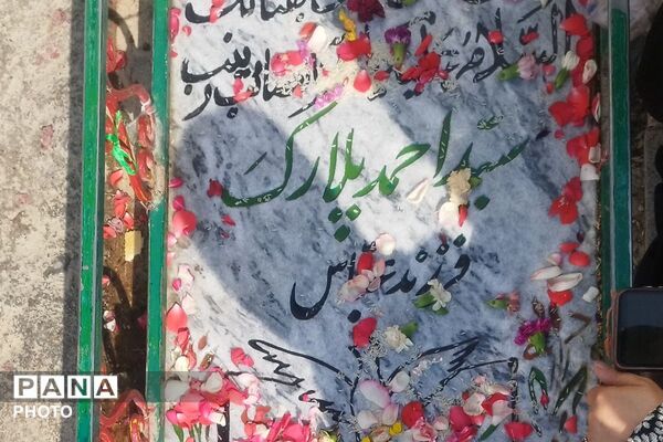 عشق به وصال محبوب و معشوق در زیباترین شکل خود، در گلزار شهدای تهران