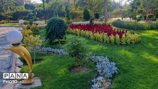 طراوت گل‌ها در قلب کوی صنعتی اراک