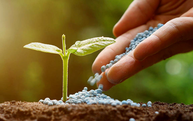 توزیع ۱۶ هزار تُن انواع کودهای کشاورزی در استان تهران