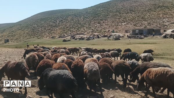 زندگی عشایری مردم شهر بار در کوه های بینالود
