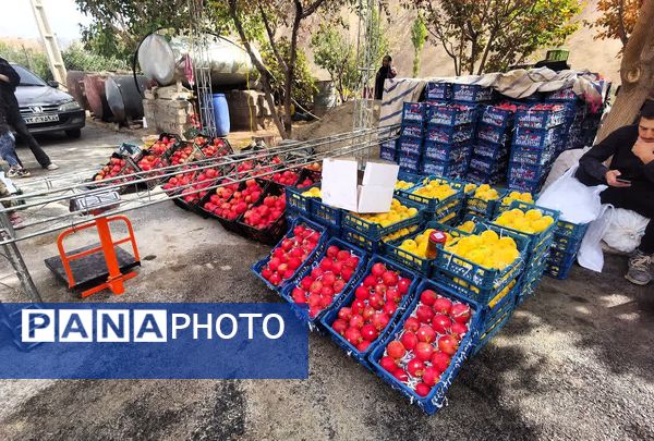 برگزاری جشنواره اناردون در روستای محمودآباد شهرستان فیروزکوه