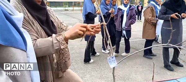 درختی برای زندگی؛ یادواره‌ای برای شهدا