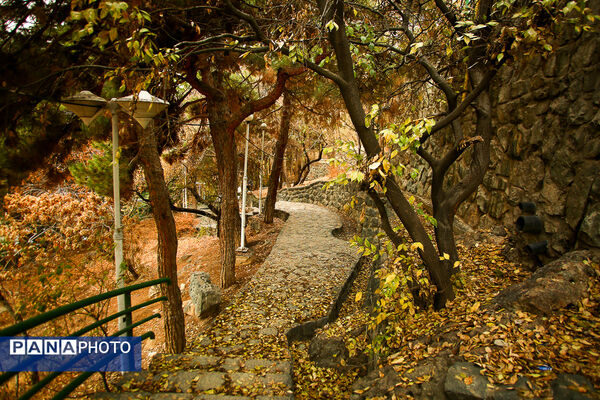 پاییز خیال انگیز در پارک جمشیدیه