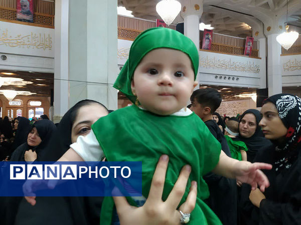 همایش شیرخوارگان حسینی(ع) در قم - 2