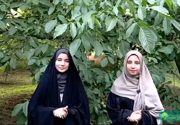 تمیزی محیط زیست، مسئولیتی همگانی برای آینده‌ای سبز