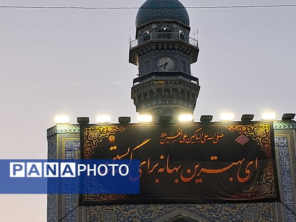 کبوتر حرم مشهد مقدس