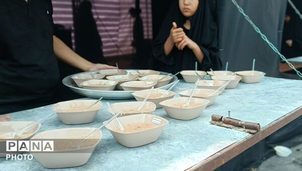 کاروان های پیاده زائران در مسیر حرم ثامن الحجج