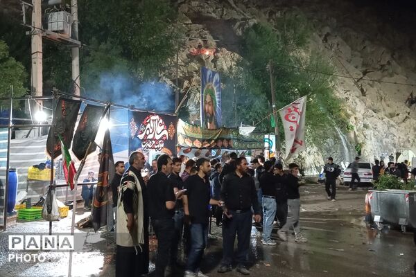 علم‌ها در دل آب