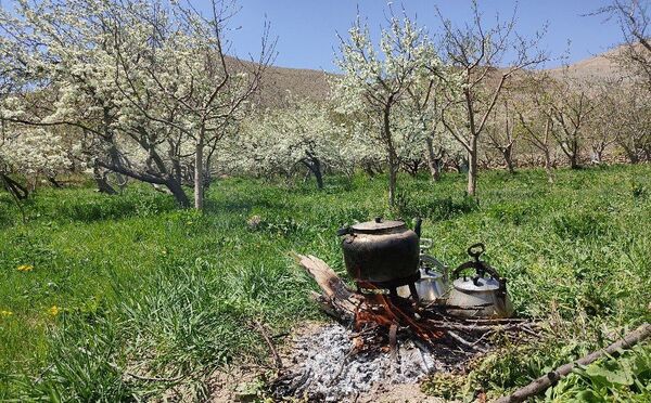 شهر زیبای بار، بهشت نیشابور