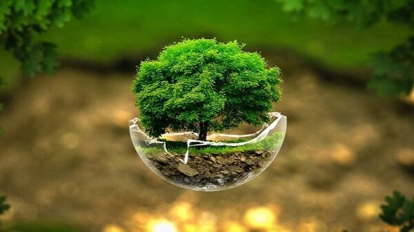 آموزش‌های محیط‌زیستی، نقشی مهم در شکل‌گیری عادت‌های درست دانش‌آموزان دارد