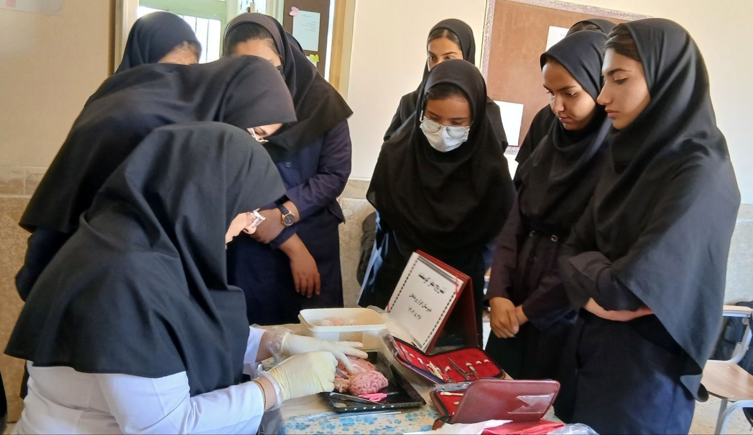 فعالیت عملی دانش‌آموزان در درس زیست‌شناسی، لمس عینی مفاهیم است