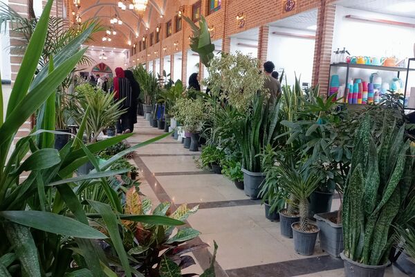 نمایشگاه گل و گیاه در نمایشگاه دائمی قرچک