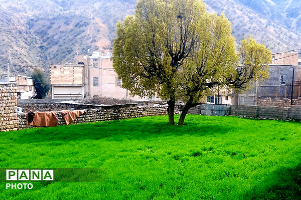 طبیعت روستای بیدله به هنگام بهار