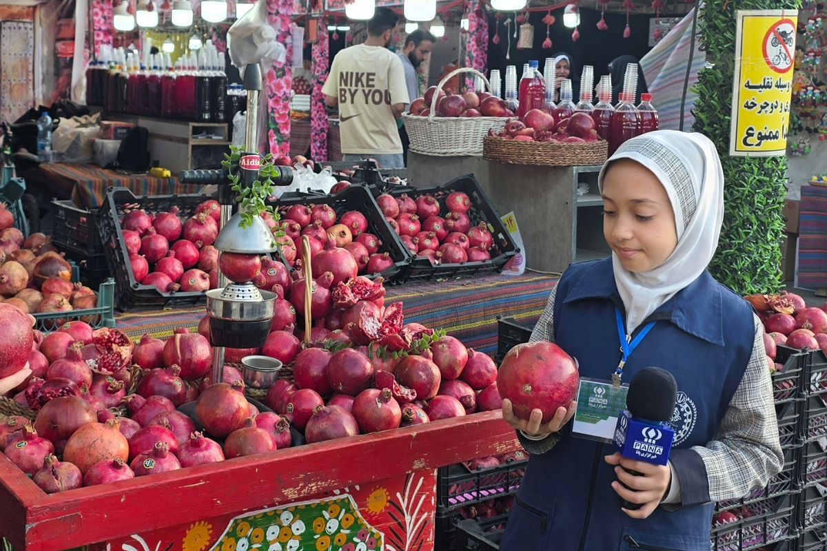 جشنواره انارستان رباط‌کریم؛ تلفیقی از سنت، ذوق و شور مردمی