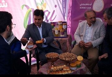 شکوفه‌های بادام ؛ شکوفایی سامان