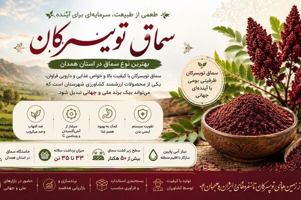 سماق تویسرکان، طعم بومی که می‌تواند جهانی شود