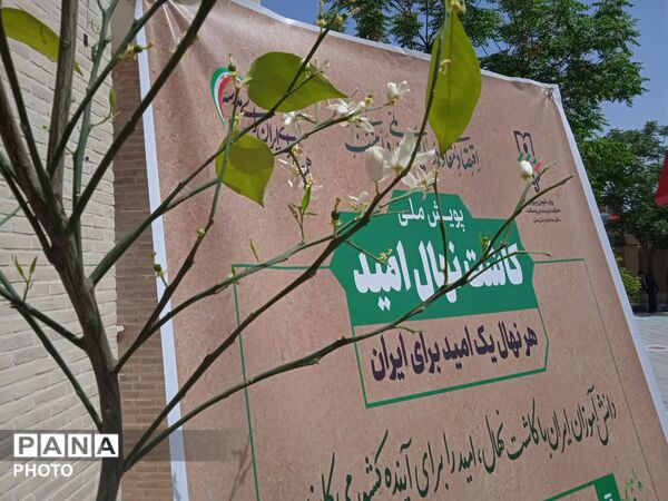 کاشت نهال امید در دبستان دخترانه شاهد پوررضایی ناحیه دو یزد