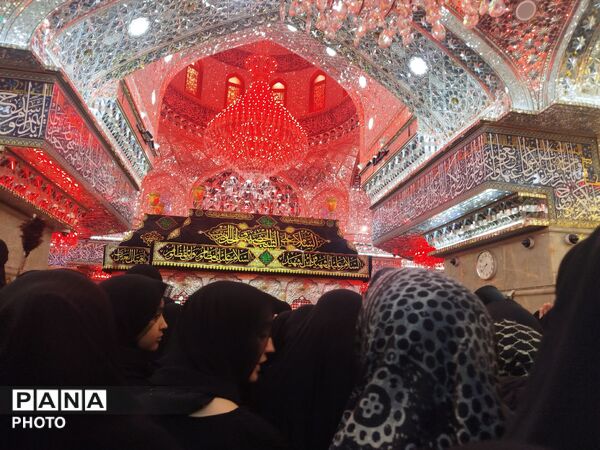 عاشقان حرم اباعبدالله الحسن در روز اربعین عراق 