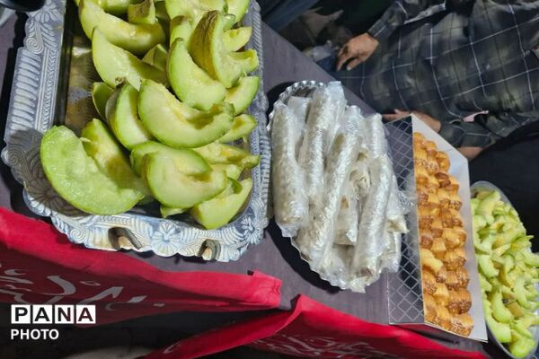 دویست و یک شب، در امتداد عهد؛ شکوه گام‌های شبانه برای ایران