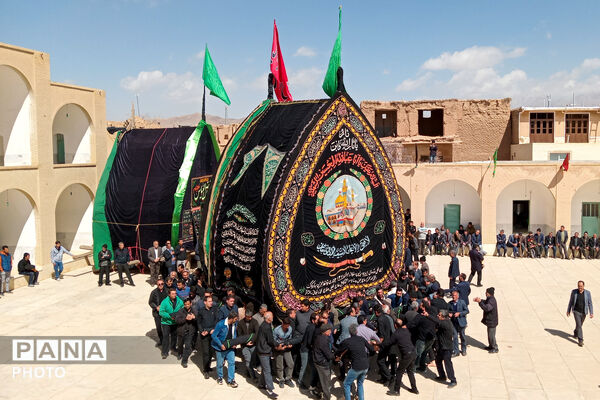 نخل‌برداری بنادکوک‌دیزه در سوگ امام علی (ع)