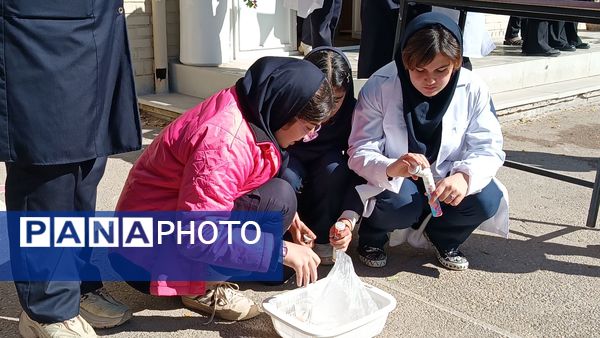 آزمایشگاه قلب تپنده یادگیری علوم