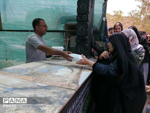 میدان توت اردکان، میزبان عزاداران امام حسن مجتبی(ع) از سراسر یزد