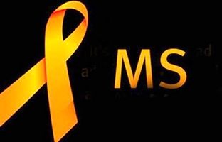 همایش آگاهی بخشی پیشگیری از بیماری «ام اس» با شرکت مراقبان سلامت و دبیران تربیت‌بدنی همدان