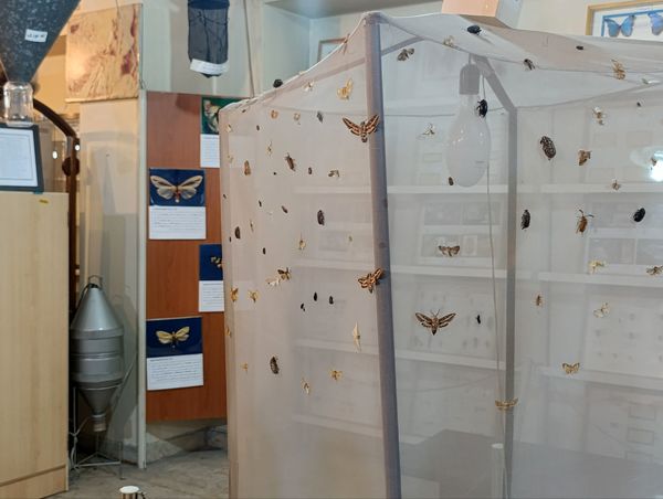 بازدید گروهی محور کشاورزی ، دامپروری ، شیلات از موسسه تحقیقات گیاه پزشکی کشور