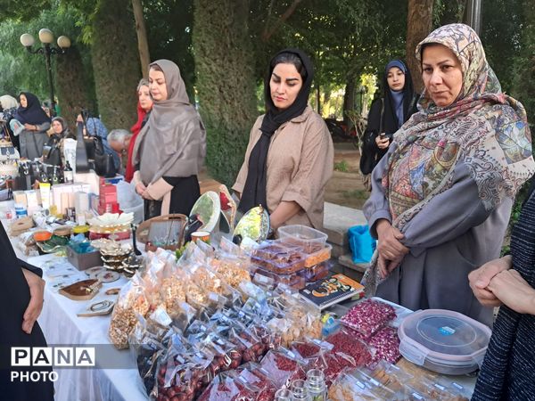 پویش «تکیه گاه» در پارک باغ ایرانی کرج 