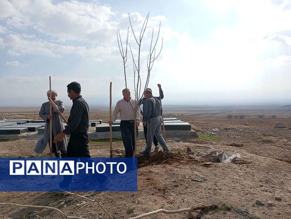 کاشت نهال در آرامستان روستای گزکوه