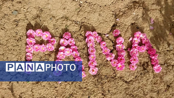 میوه‌های رنگارنگ در لردگان 