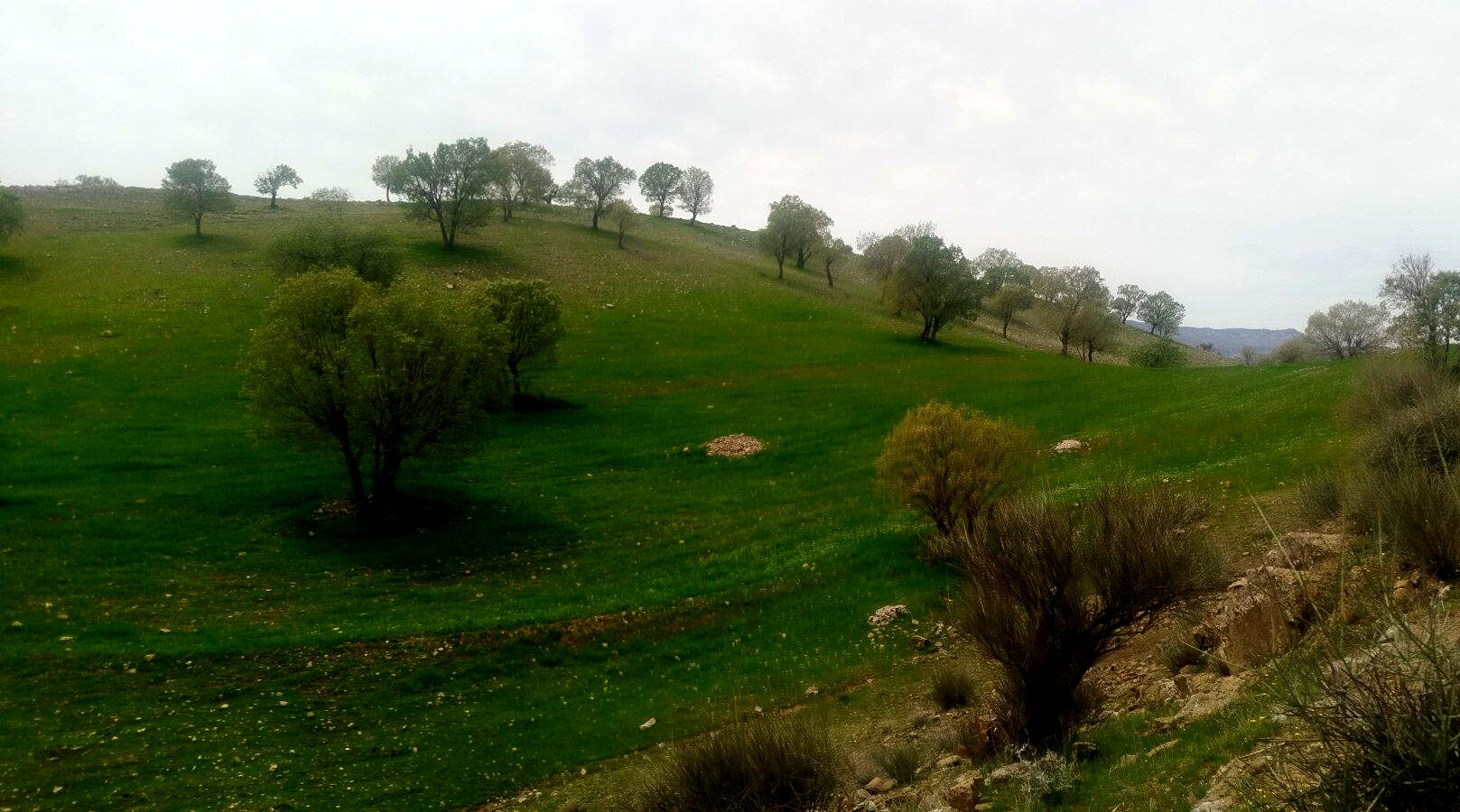 طبیعت دلنشین کوهدشت؛ بهشتی پنهان در دل زاگرس