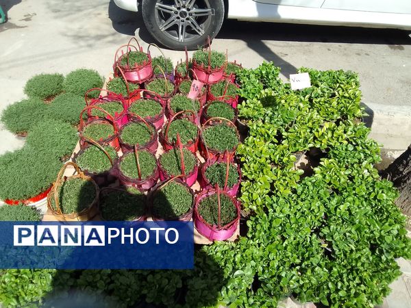 جاذبه‌های دیدنی شهرکرد برای عید نوروز